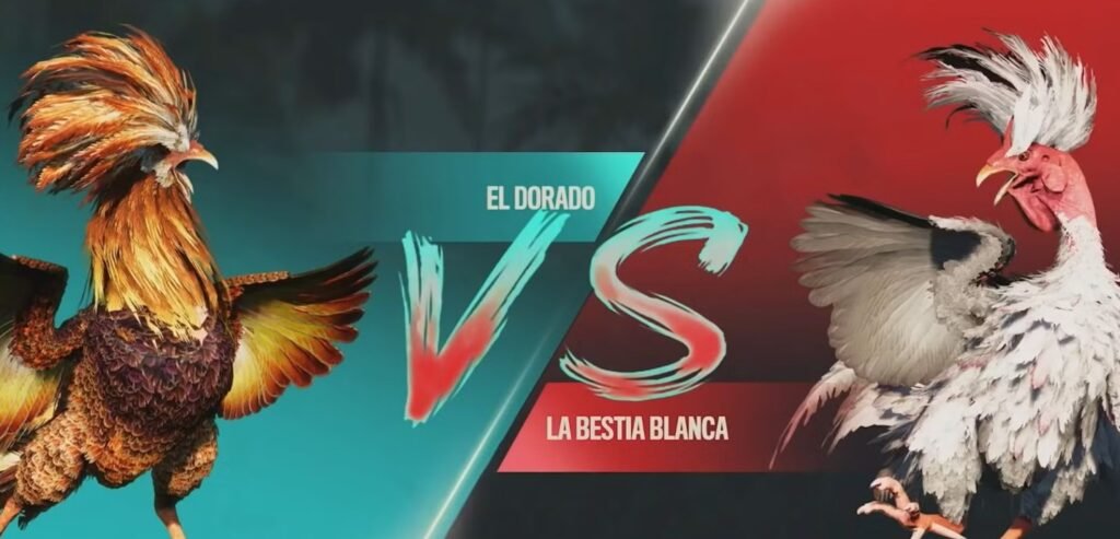 Tại Sao Nên Chọn Bj39 Để Cá Cược Đá Gà Thay Vì Các Nhà Cái Khác?