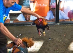 Phép Xem Màu Mạng Ngũ Hành: Chọn Ngày Ra Trận