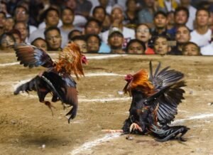 Chăm Sóc Hậu Điều Trị: Đừng Để "Mất Bò Mới Lo Làm Chuồng"