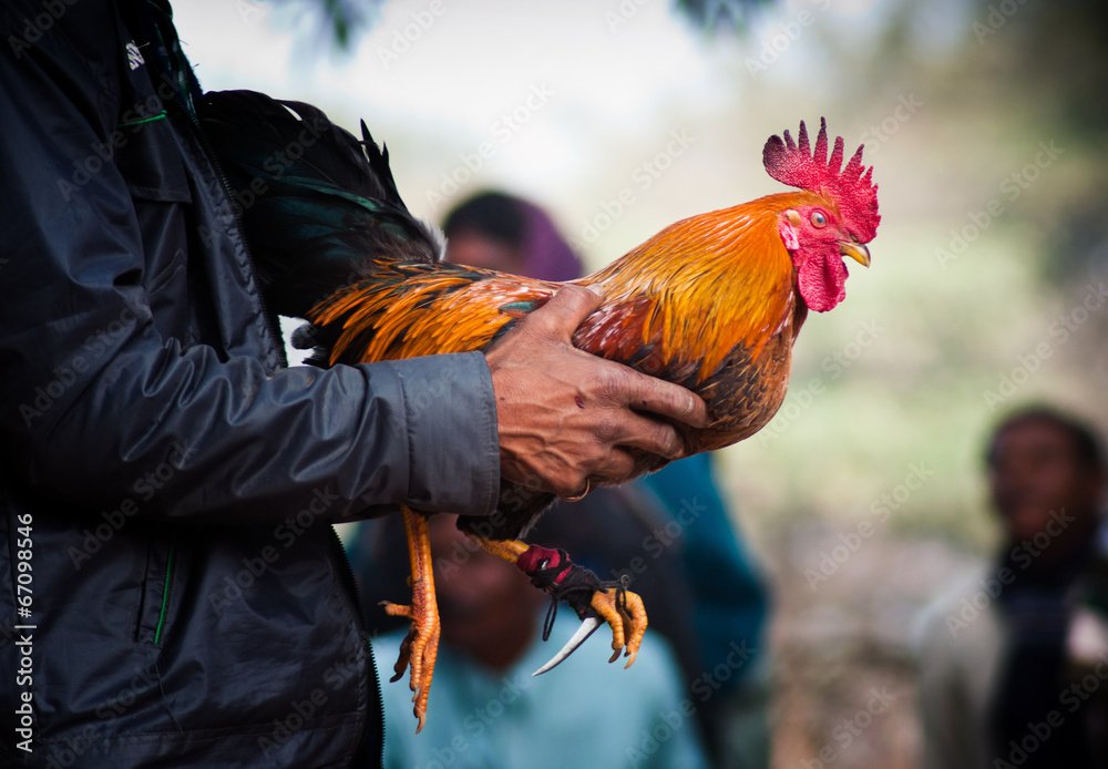 Quy trình tiêm phòng và chăm sóc y tế nghiêm ngặt