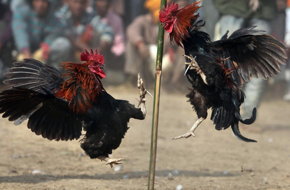 Cách quan sát phản xạ mắt trong các điều kiện môi trường